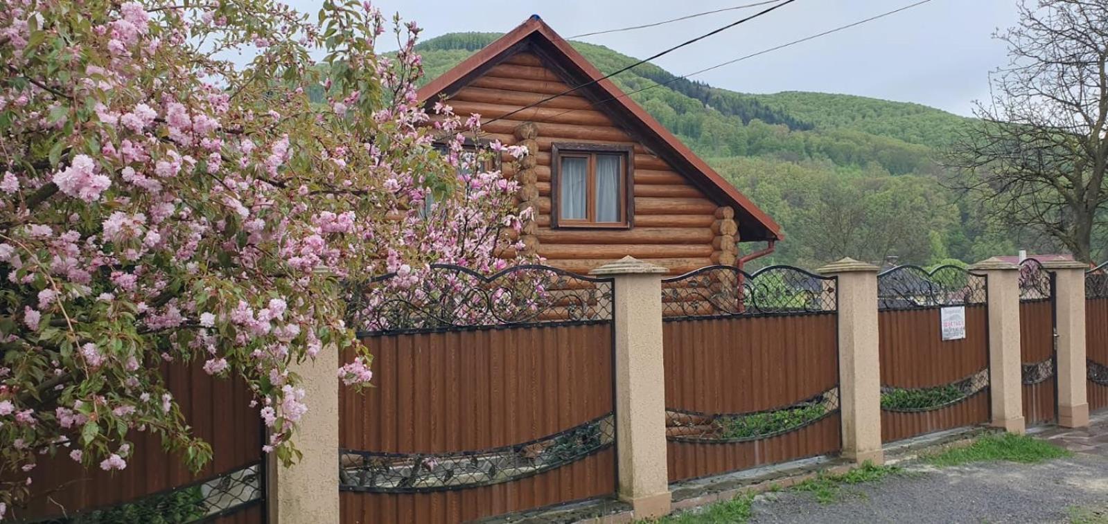Smerekovyi Dvir Poljana Exterior foto